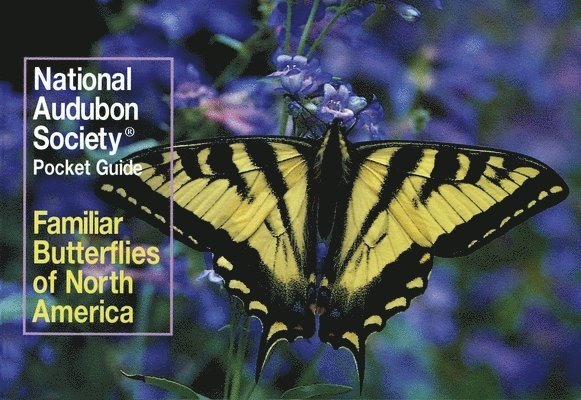 National Audubon Society Pocket Guide: Familiar Butterflies of North America 1