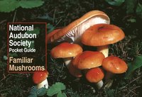 bokomslag National Audubon Society Pocket Guide: Familiar Mushrooms