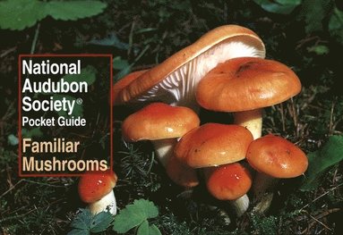 bokomslag National Audubon Society Pocket Guide: Familiar Mushrooms