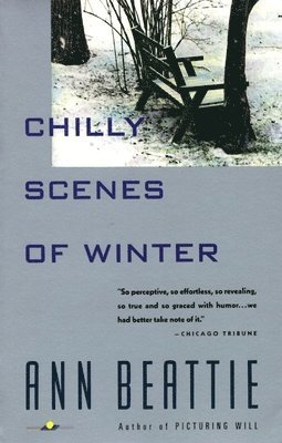 Ann Beattie - Chilly Scenes of Winter, Häftad