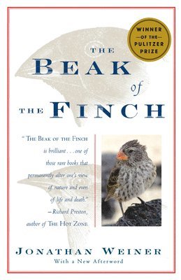 bokomslag Beak Of The Finch