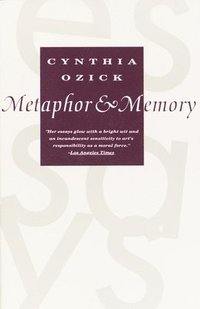 bokomslag Metaphor And Memory