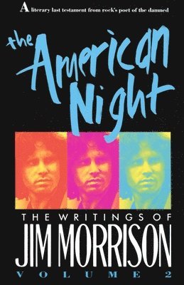 bokomslag American Night