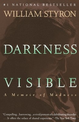 bokomslag Darkness Visible: A Memoir of Madness