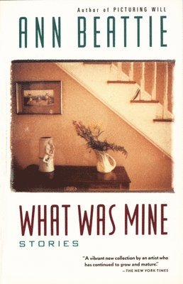 bokomslag What Was Mine: & Other Stories