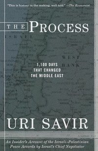 bokomslag The Process: 1,100 Days That Changed the Middle East