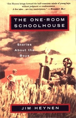 bokomslag The One-Room Schoolhouse: Stories about the Boys