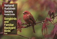 bokomslag National Audubon Society Pocket Guide to Songbirds and Familiar Backyard Birds: Eastern Region