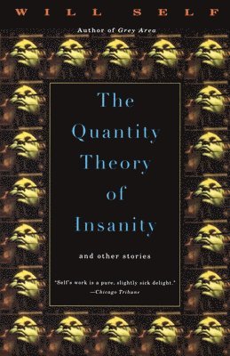 bokomslag The Quantity Theory of Insanity