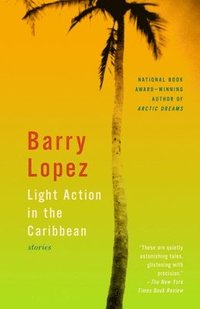 bokomslag Light Action in the Caribbean: Stories