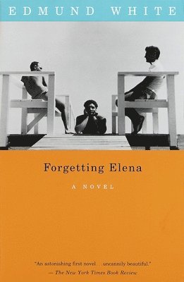 Edmund White - Forgetting Elena, Häftad