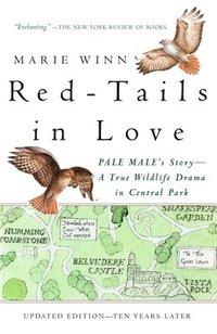 bokomslag Red-Tails in Love: PALE MALE'S STORY--A True Wildlife Drama in Central Park