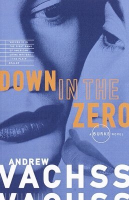 bokomslag Down in the Zero