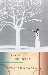 bokomslag Snow Country