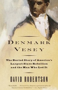 bokomslag Denmark Vesey