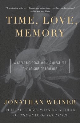 Jonathan Weiner - Time, Love, Memory: A Great Biologist and His Quest for the Origins of Behavior, Häftad