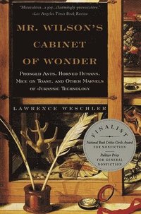 bokomslag Mr. Wilson's Cabinet of Wonder: Pronged Ants, Horned Humans, Mice on Toast, and Other Marvels of Jurassic Technology