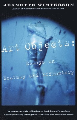 bokomslag Art Objects: Essays on Ecstasy and Effrontery