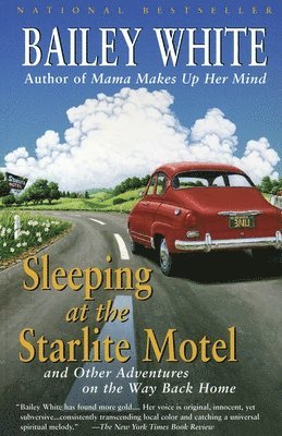 bokomslag Sleeping at the Starlite Motel: and Other Adventures on the Way Back Home