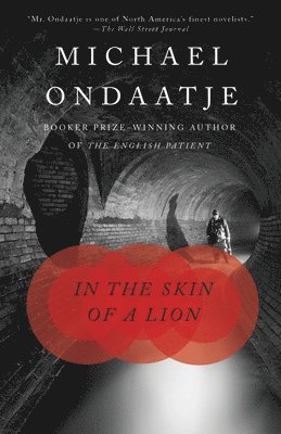 bokomslag In The Skin Of A Lion