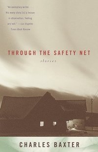 bokomslag Through the Safety Net