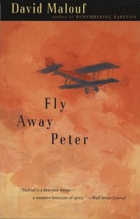 bokomslag Fly Away Peter