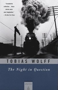 bokomslag The Night in Question: Stories