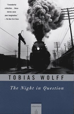 bokomslag The Night in Question: Stories