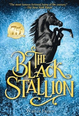 bokomslag The Black Stallion