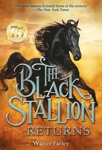 bokomslag The Black Stallion Returns