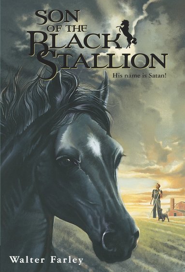 Walter Farley - Son of the Black Stallion, Häftad