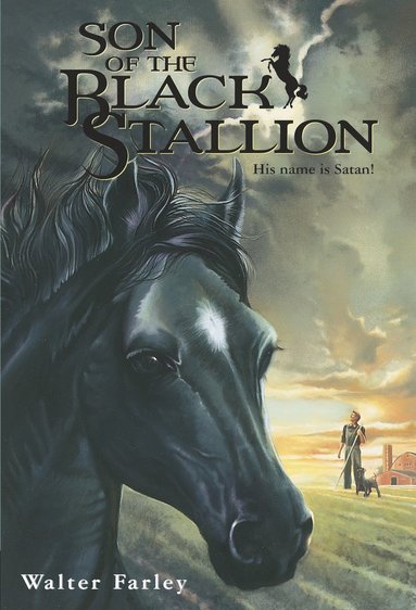 bokomslag Son of the Black Stallion