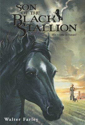 Son of the Black Stallion 1