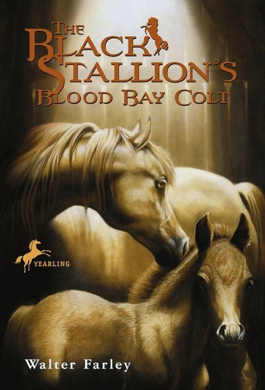 Walter Farley - Black Stallion's Blood Bay Colt, Häftad