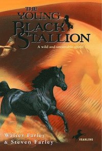 bokomslag The Young Black Stallion