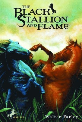bokomslag The Black Stallion and Flame