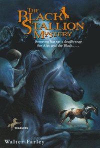 bokomslag The Black Stallion Mystery