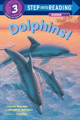 bokomslag Dolphins!