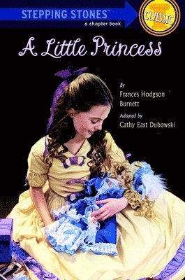bokomslag Little Princess