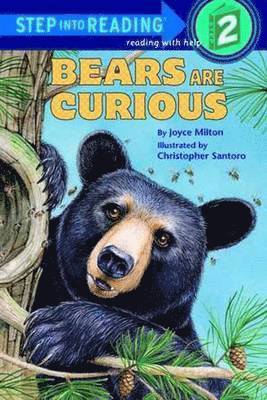 Bears are Curious