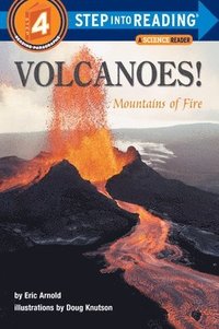 bokomslag Volcanoes!