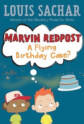 bokomslag A Flying Birthday Cake