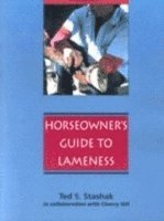 bokomslag Practical Guide to Lameness in Horses
