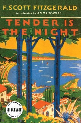 F. Scott Fitzgerald - Tender is the Night, Häftad