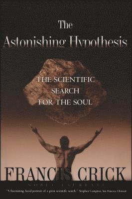 bokomslag Astonishing Hypothesis