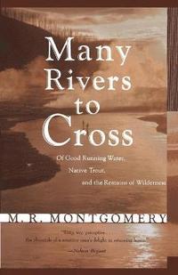 bokomslag Many Rivers to Cross