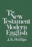 bokomslag New Testament In Modern English