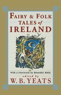 bokomslag Fairy and Folk Tales of Ireland