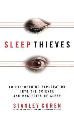 bokomslag Sleep Thieves