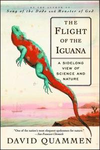 bokomslag The Flight of the Iguana